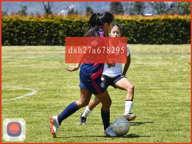 dsh27a678295