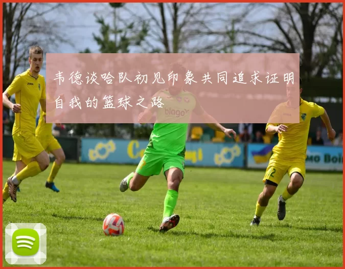 韦德谈哈队初见印象共同追求证明自我的篮球之路
