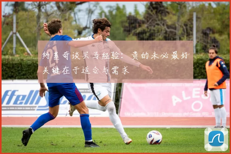 约基奇谈买马经验：贵的未必最好关键在于适合与需求