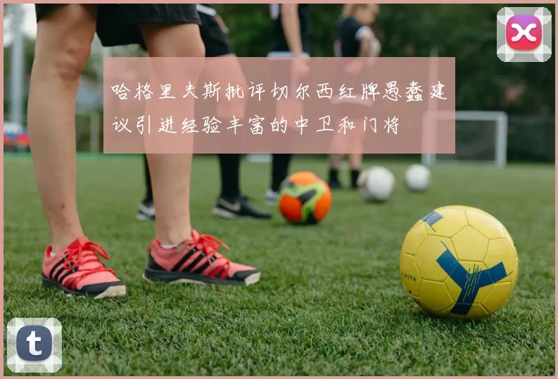 哈格里夫斯批评切尔西红牌愚蠢建议引进经验丰富的中卫和门将