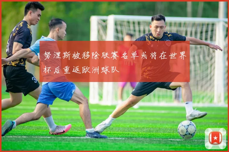努涅斯被移除联赛名单或将在世界杯后重返欧洲球队