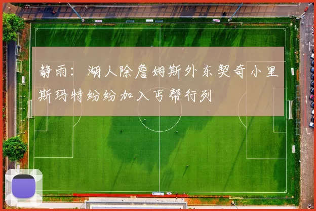 静雨：湖人除詹姆斯外东契奇小里斯玛特纷纷加入丐帮行列